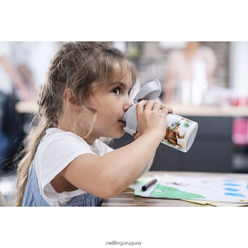 dinos Botella para beber dinos, 350 ml, acero inoxidable, blanco-gris Zwilling cocina A688HF534 - Image 7