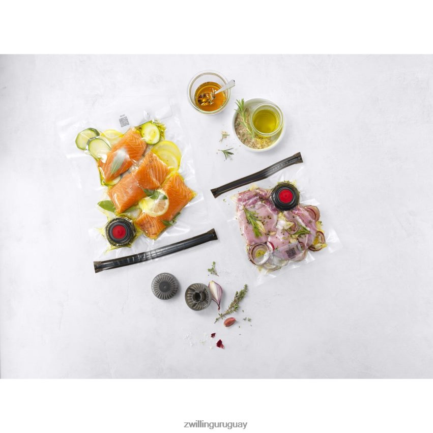 Juego de accesorios para aspiradora Fresh & Save con barrera líquida, 6 piezas Zwilling cocina A688HF453 - Image 5