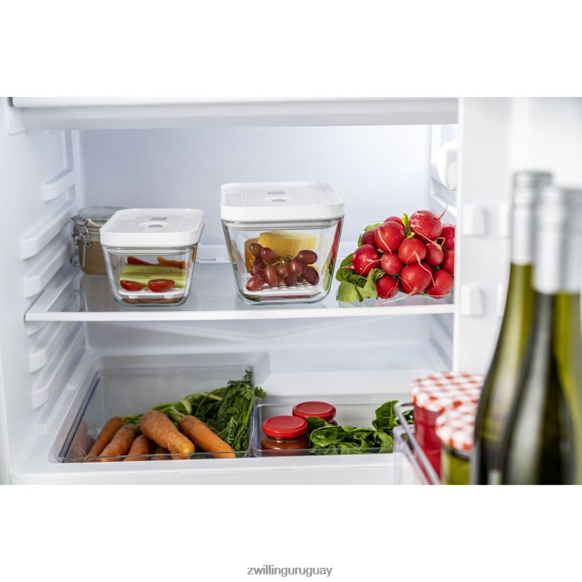 Juego de bandejas recogegotas Fresh & Save para recipientes de vidrio, m/l / 2 piezas Zwilling cocina A688HF466 - Image 6